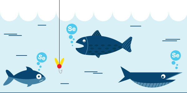 Fisk er en viktig kilde til selen
