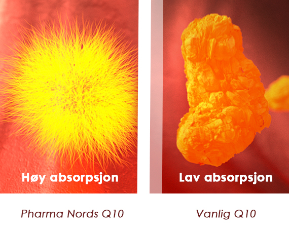 Pharma Nords Q10 med høy absorpsjon på bilde til venstre og vanlig Q10 til høyre