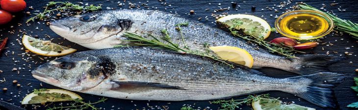 Er omega-3 virkelig så  viktig for hjernen din?